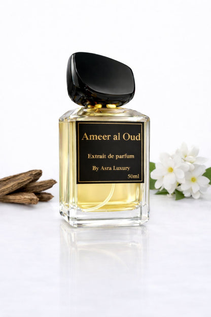 Ameer Al Oud